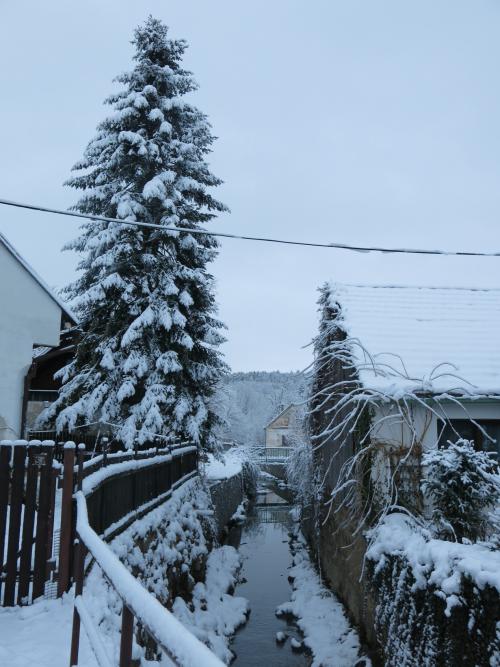 Zimní obrázky obce Cehnice a Dunovice.